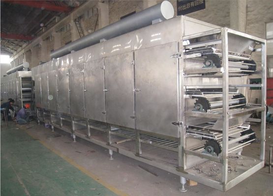 Banda transportadora de múltiples capas Oven For Onion/jengibre del aire caliente de la serie de DWG