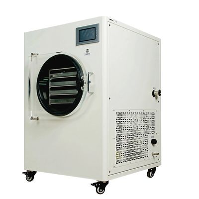 Secador de calefacción eléctrico de la sublimación de la máquina del secador de helada del vacío para la verdura
